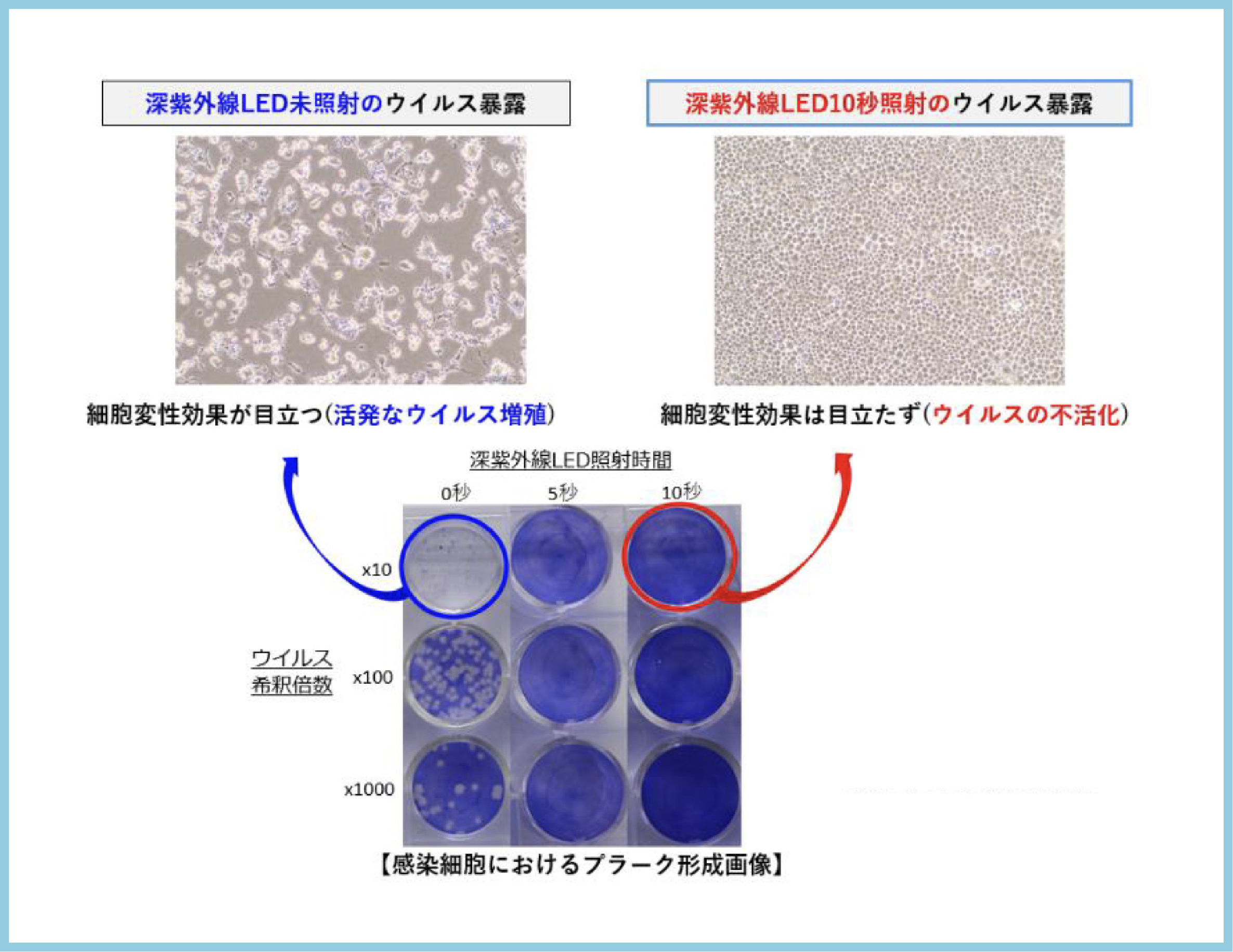 深紫外線LED照射実験